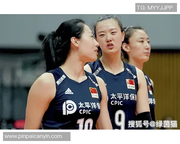 北京排球队强势领跑锦标赛积分榜以73分稳居第一