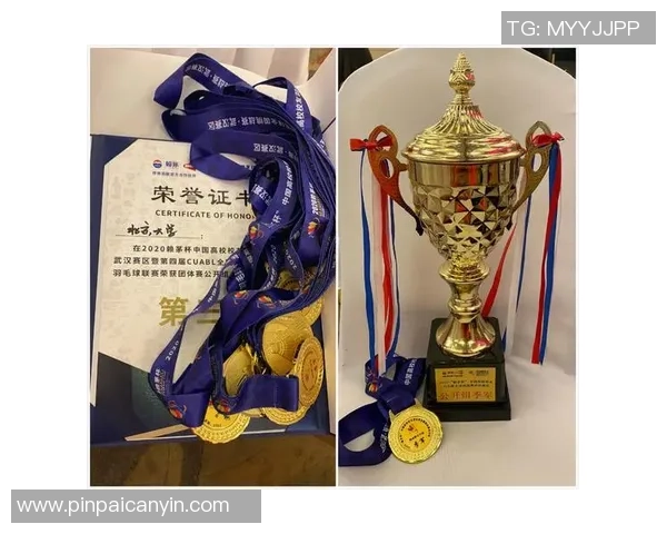 重庆羽毛球队与南京羽毛球队赛后状态分析与复盘探讨